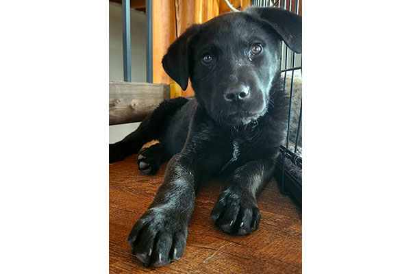 lennox3