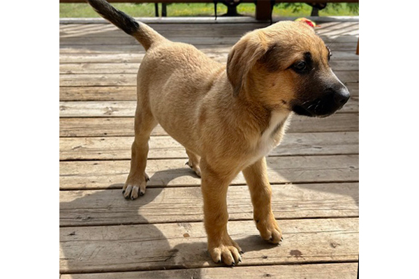 benny2