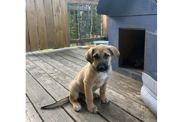 benny3