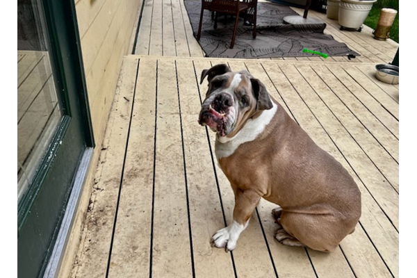 louie2