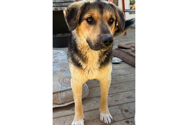 baxter2