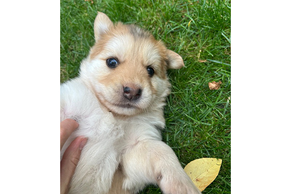 zeus2