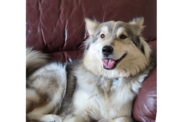 floof3